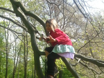 girl in a tree